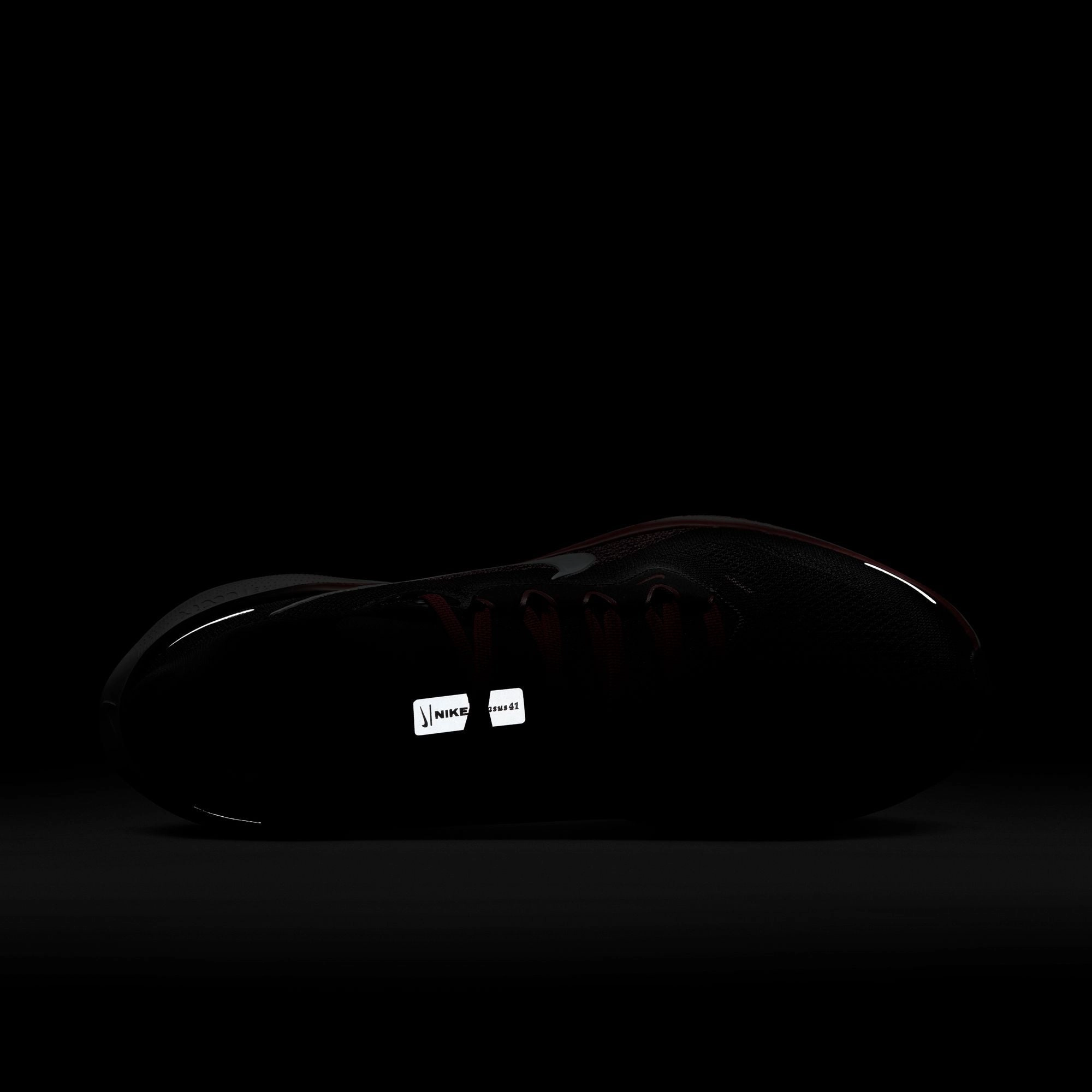 Air Zoom Pegasus 41