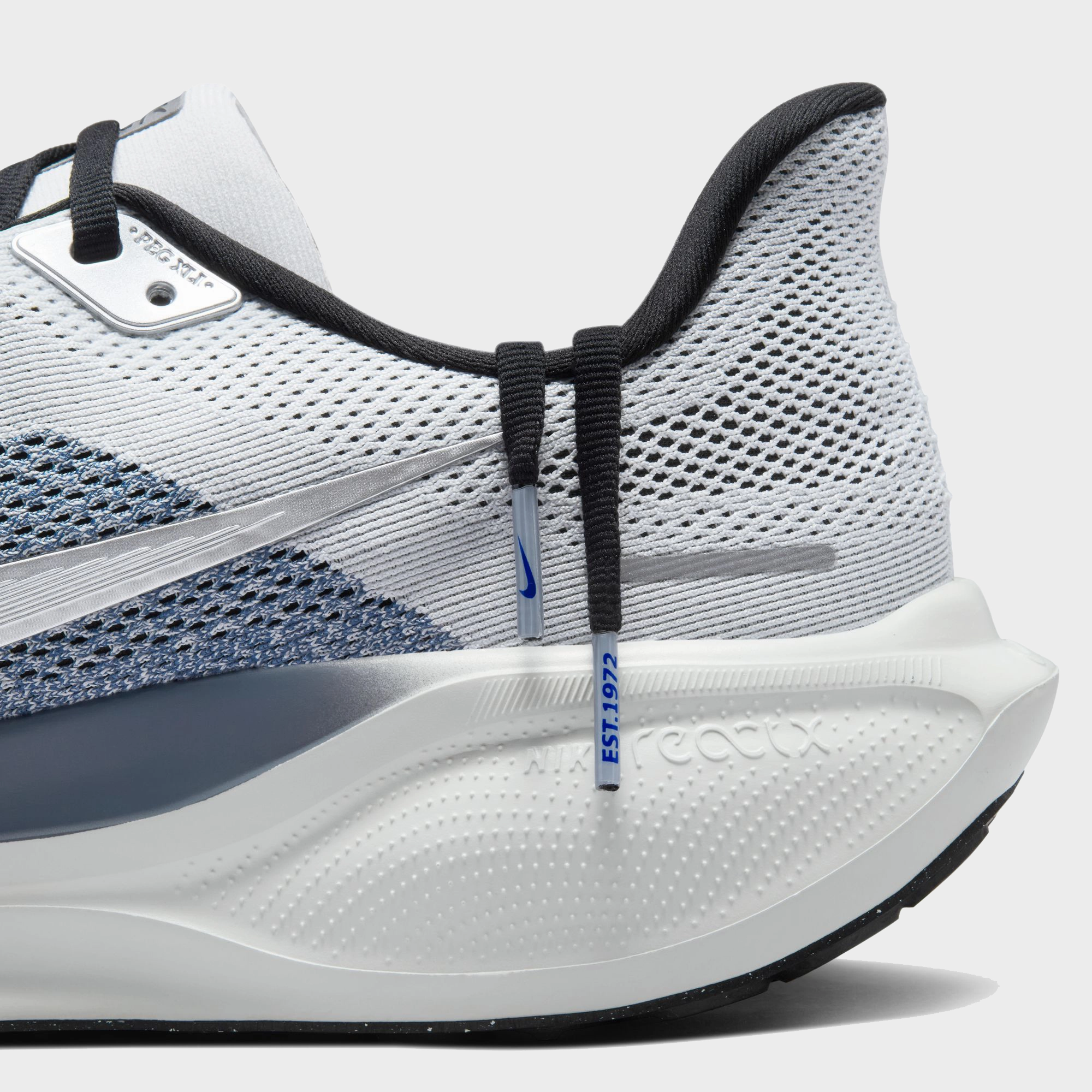 Air Zoom Pegasus 41