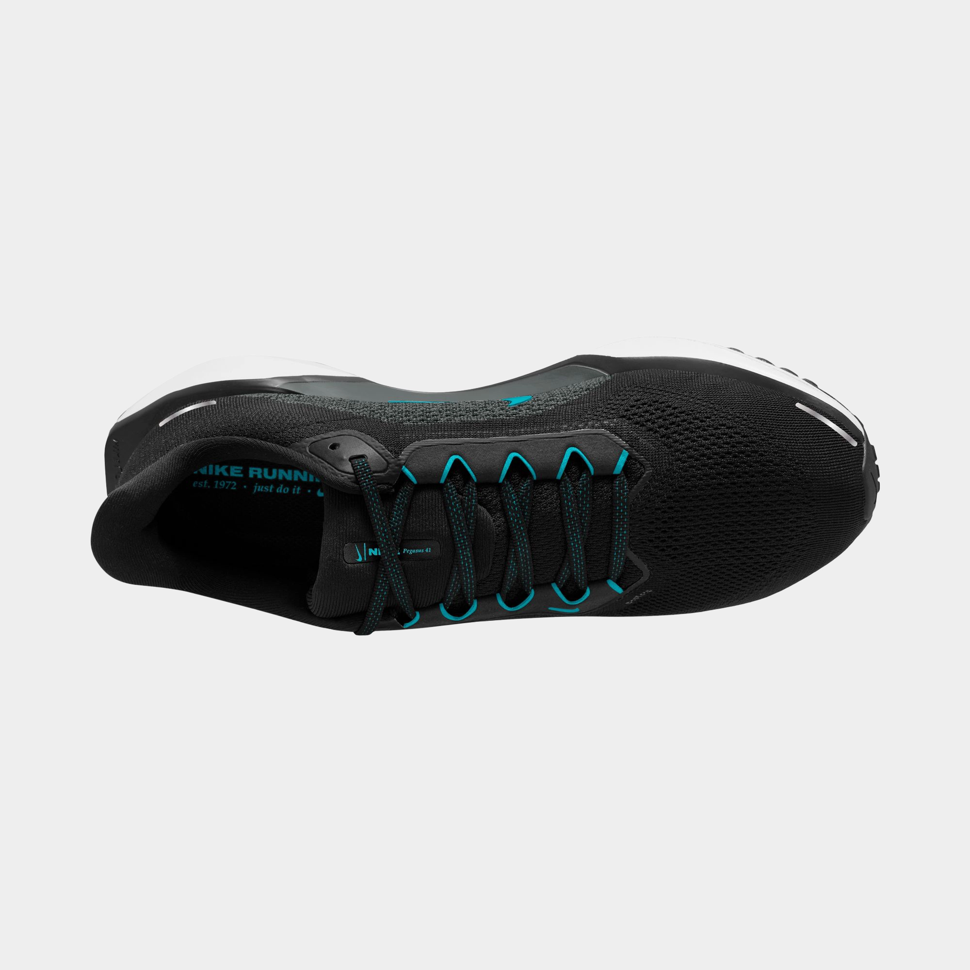 Air Zoom Pegasus 41