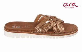 Ara Crissto Bronze