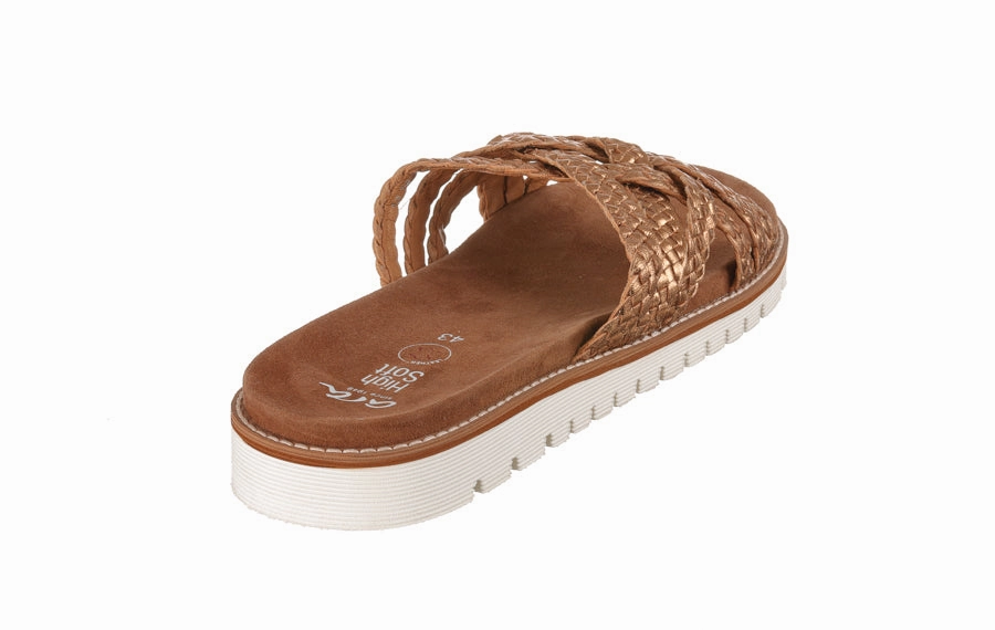 Ara Crissto Bronze