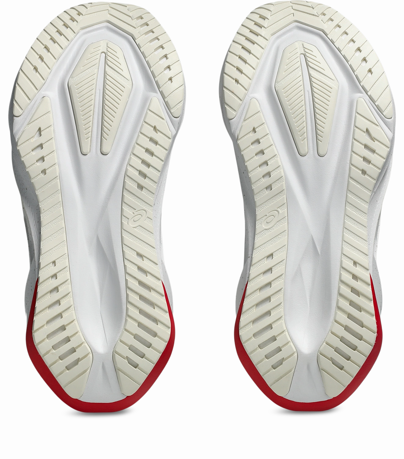 Bandit x Novablast 5 - Women's
