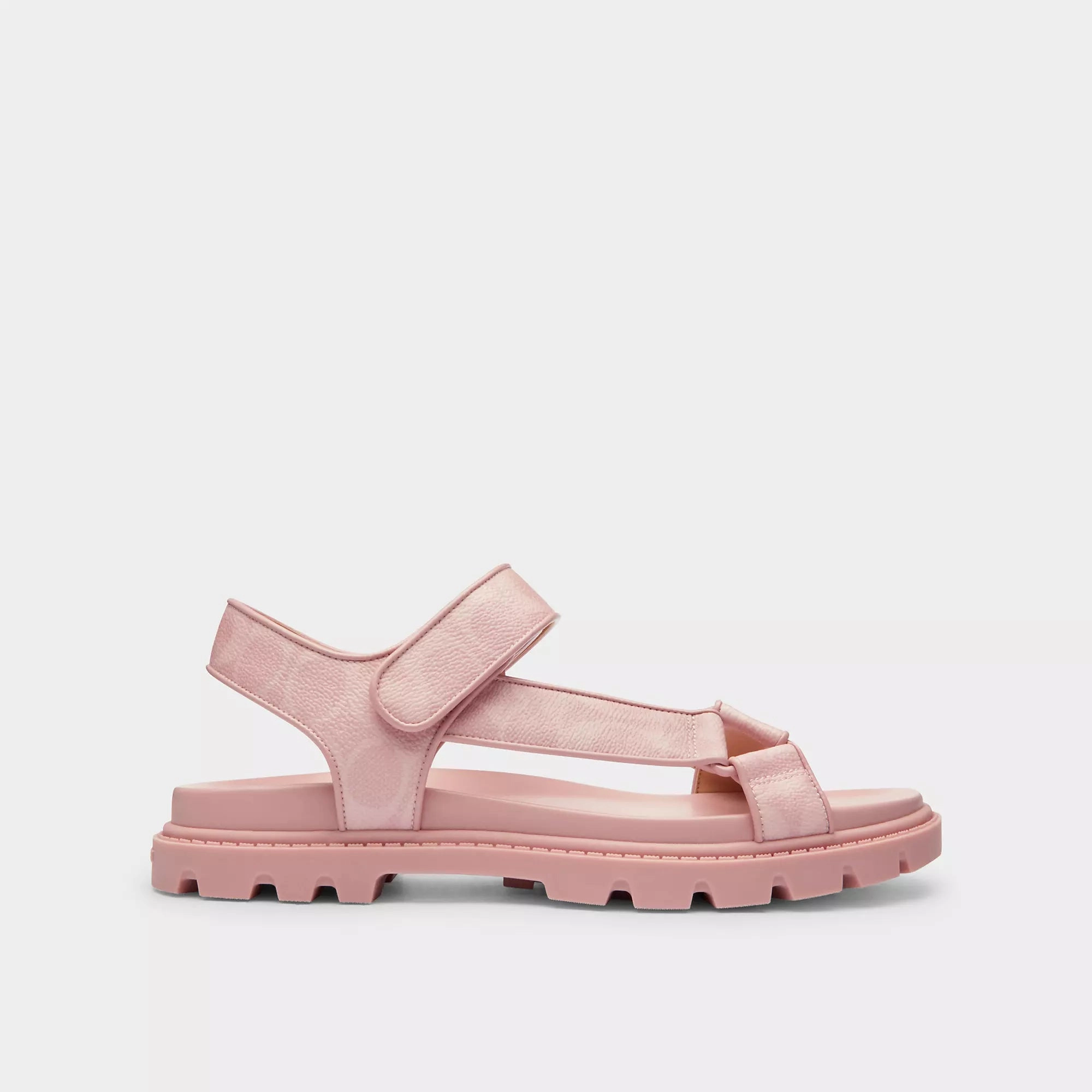 Coach Outlet Sport Sandal In Signature Canvas