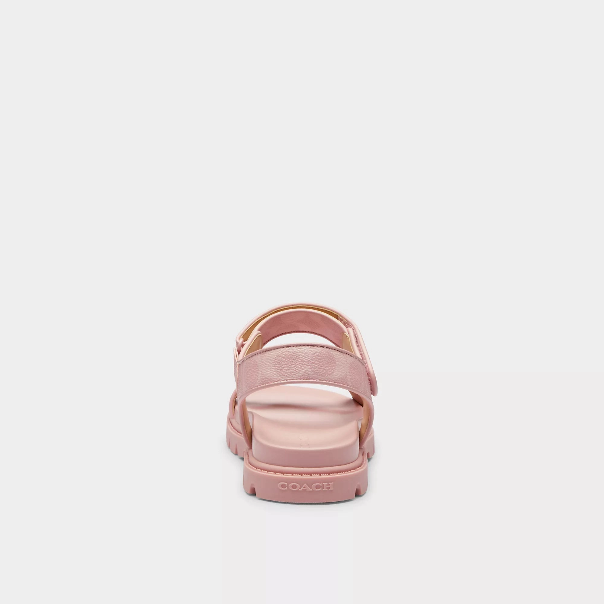 Coach Outlet Sport Sandal In Signature Canvas