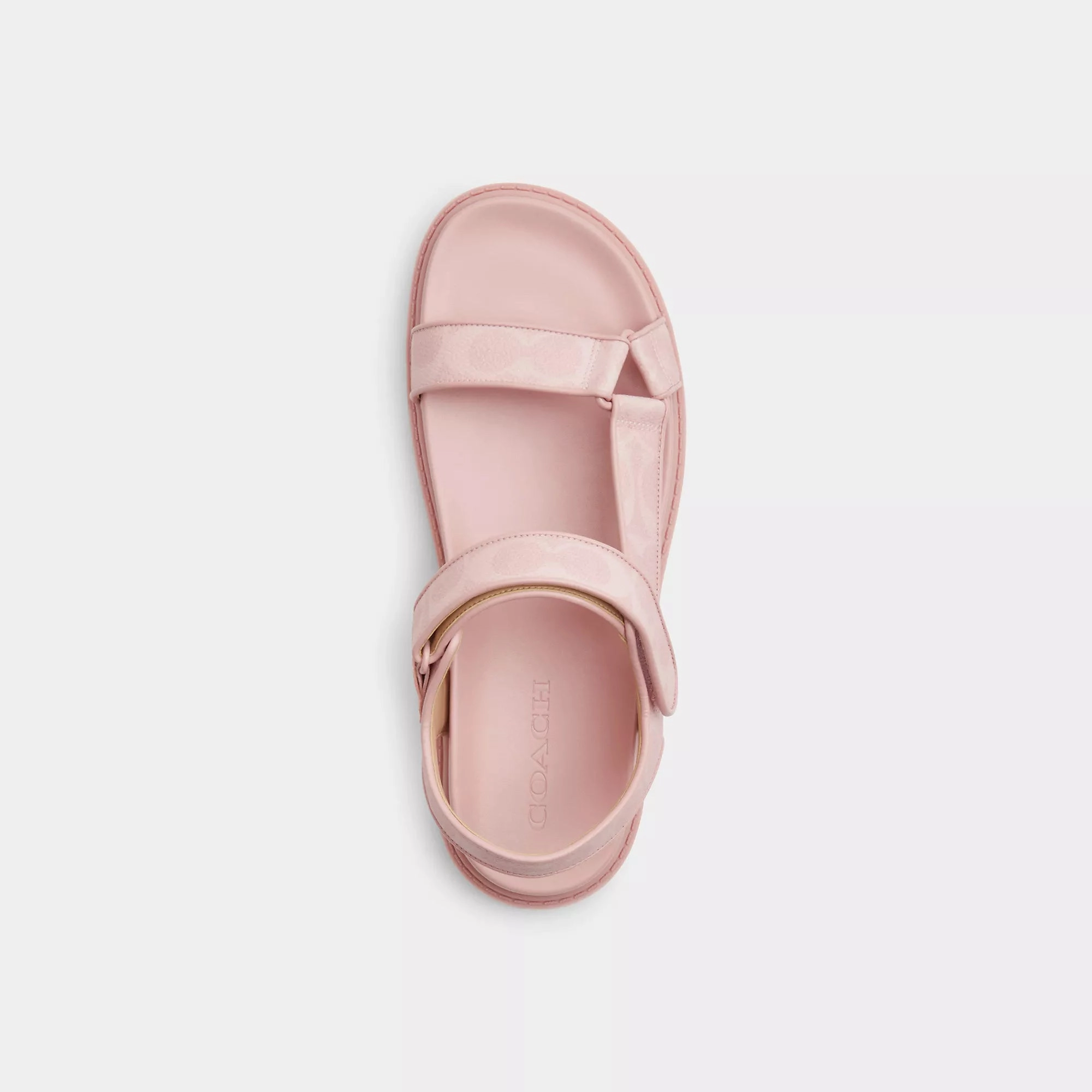Coach Outlet Sport Sandal In Signature Canvas