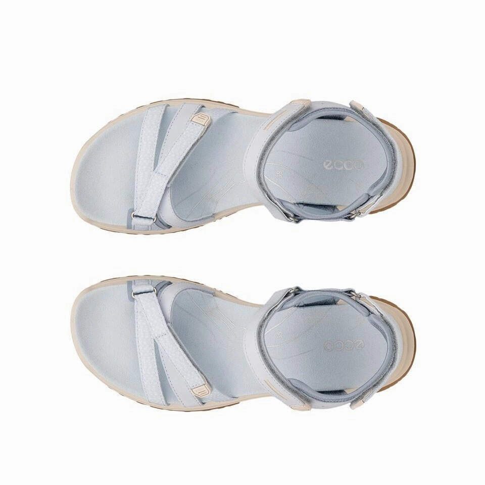 Ecco 853303 Offroad Roam Blue