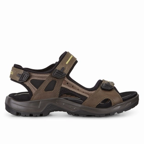 ECCO - 069564 - OFFROAD MEN