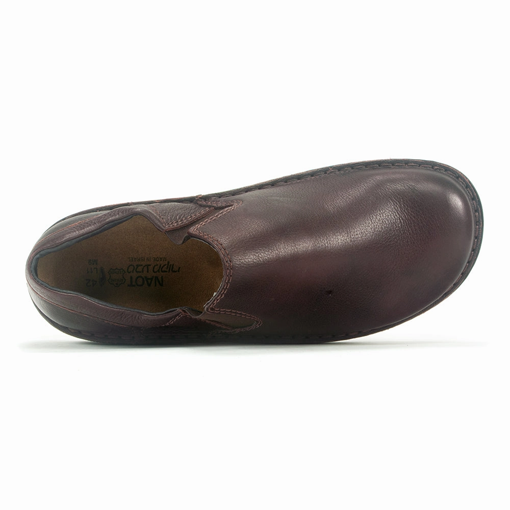 Eiger Shoe (68111)