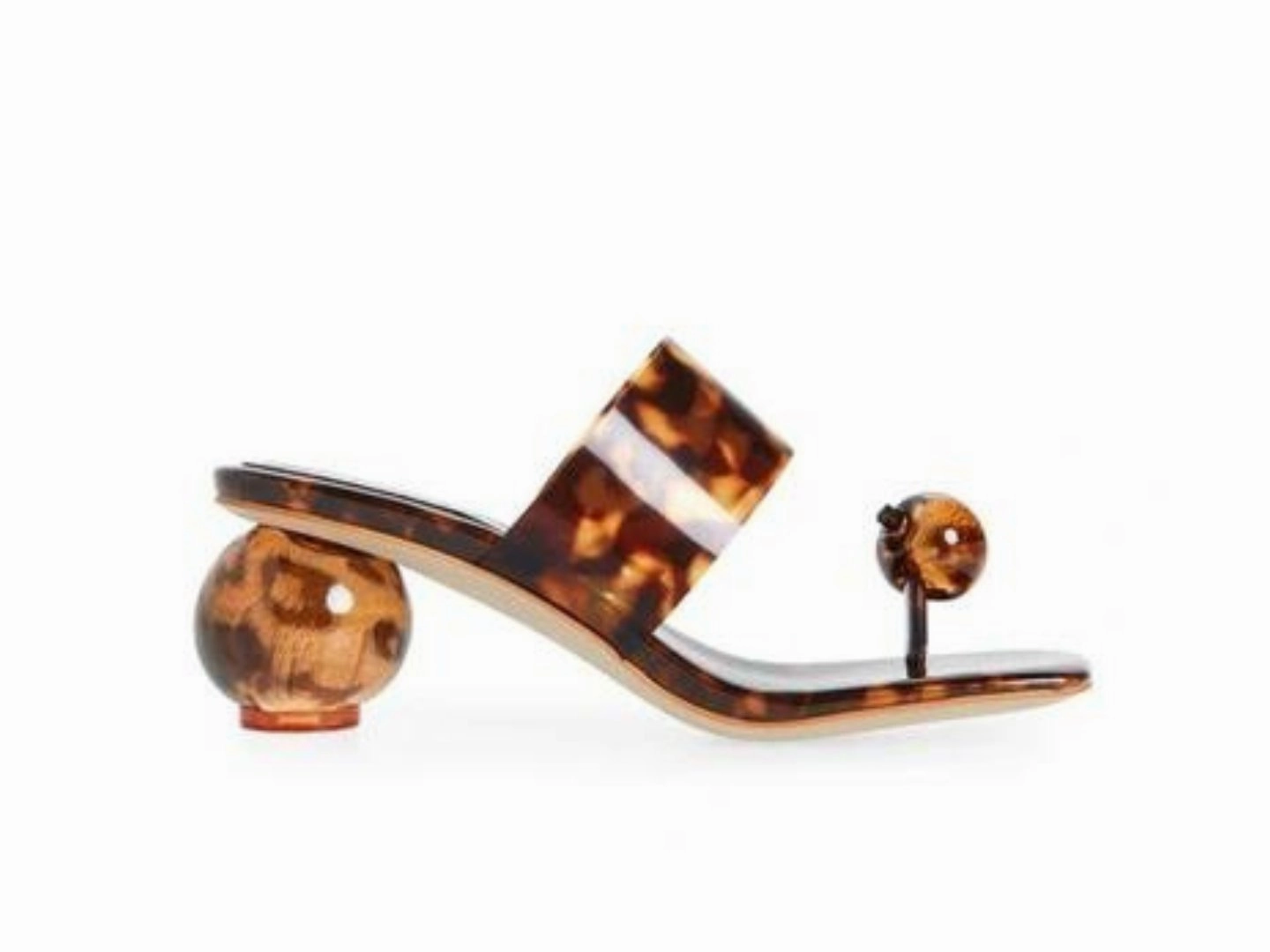 Jeffrey Campbell: Latus in Tortoise
