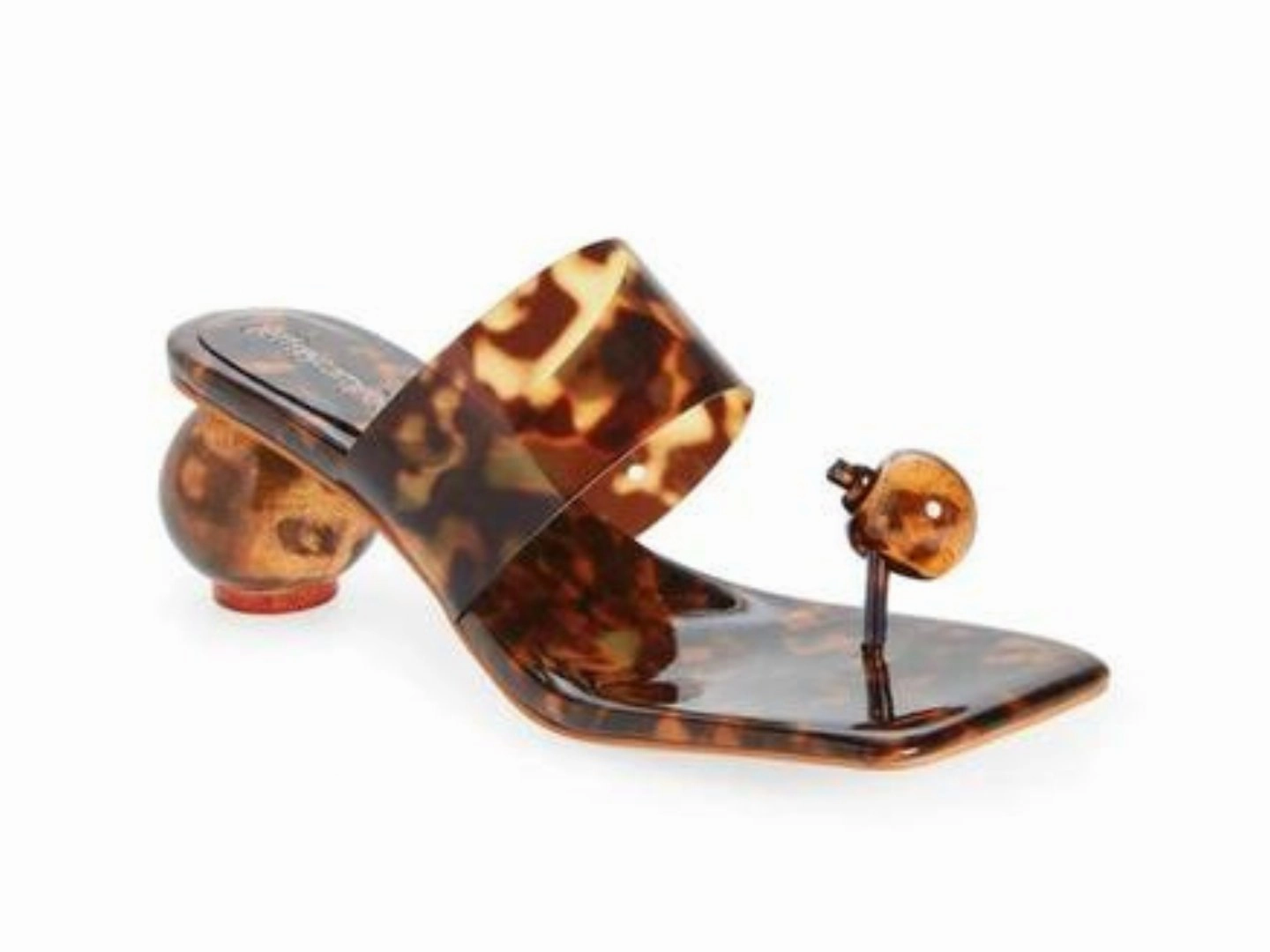 Jeffrey Campbell: Latus in Tortoise