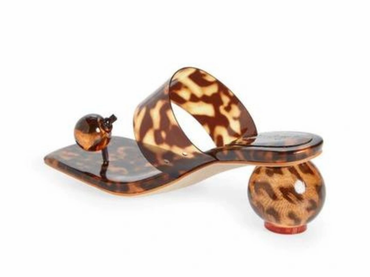 Jeffrey Campbell: Latus in Tortoise