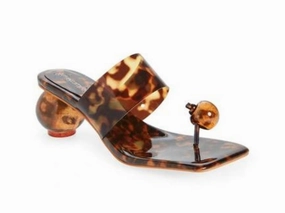 Jeffrey Campbell: Latus in Tortoise