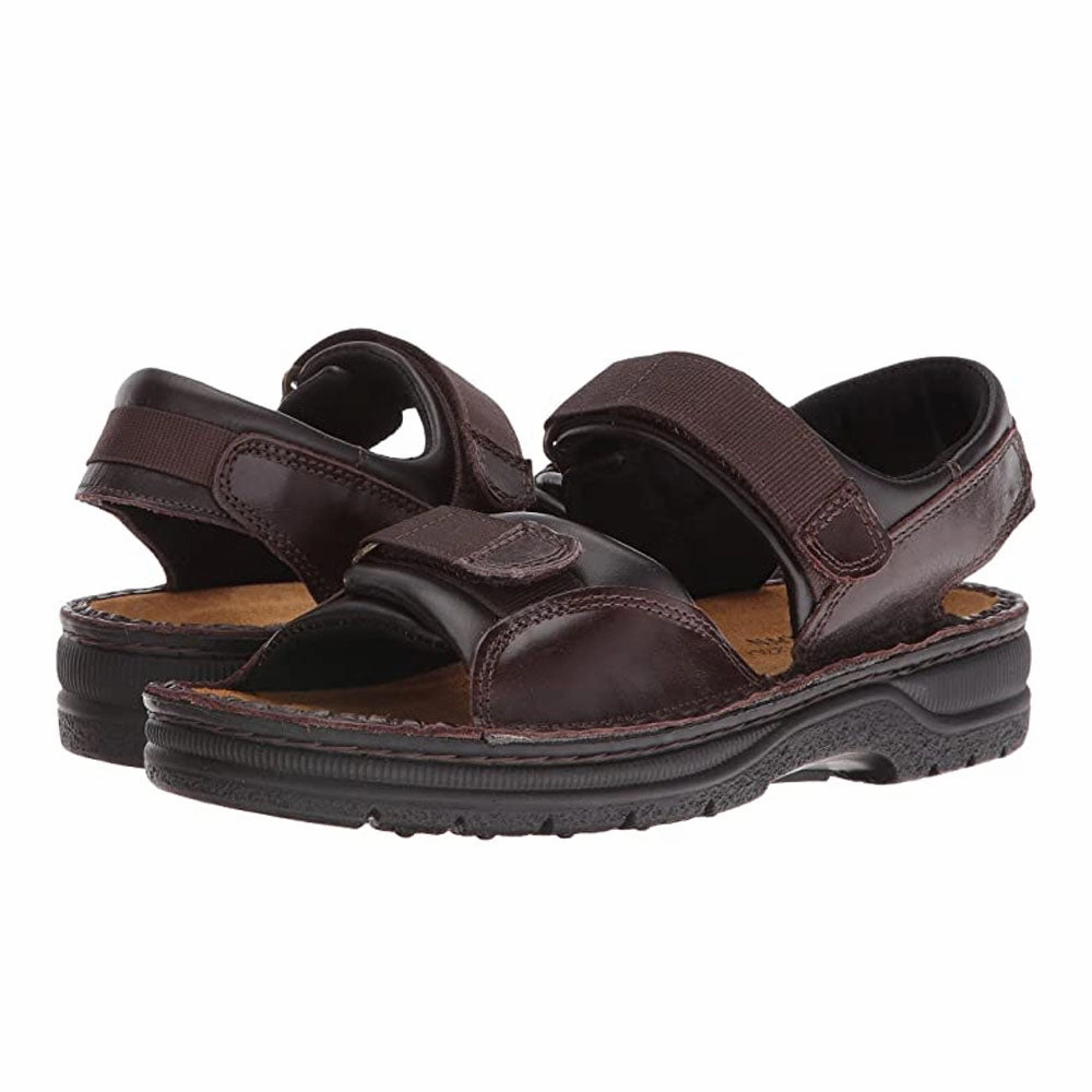 Lappland (69601)