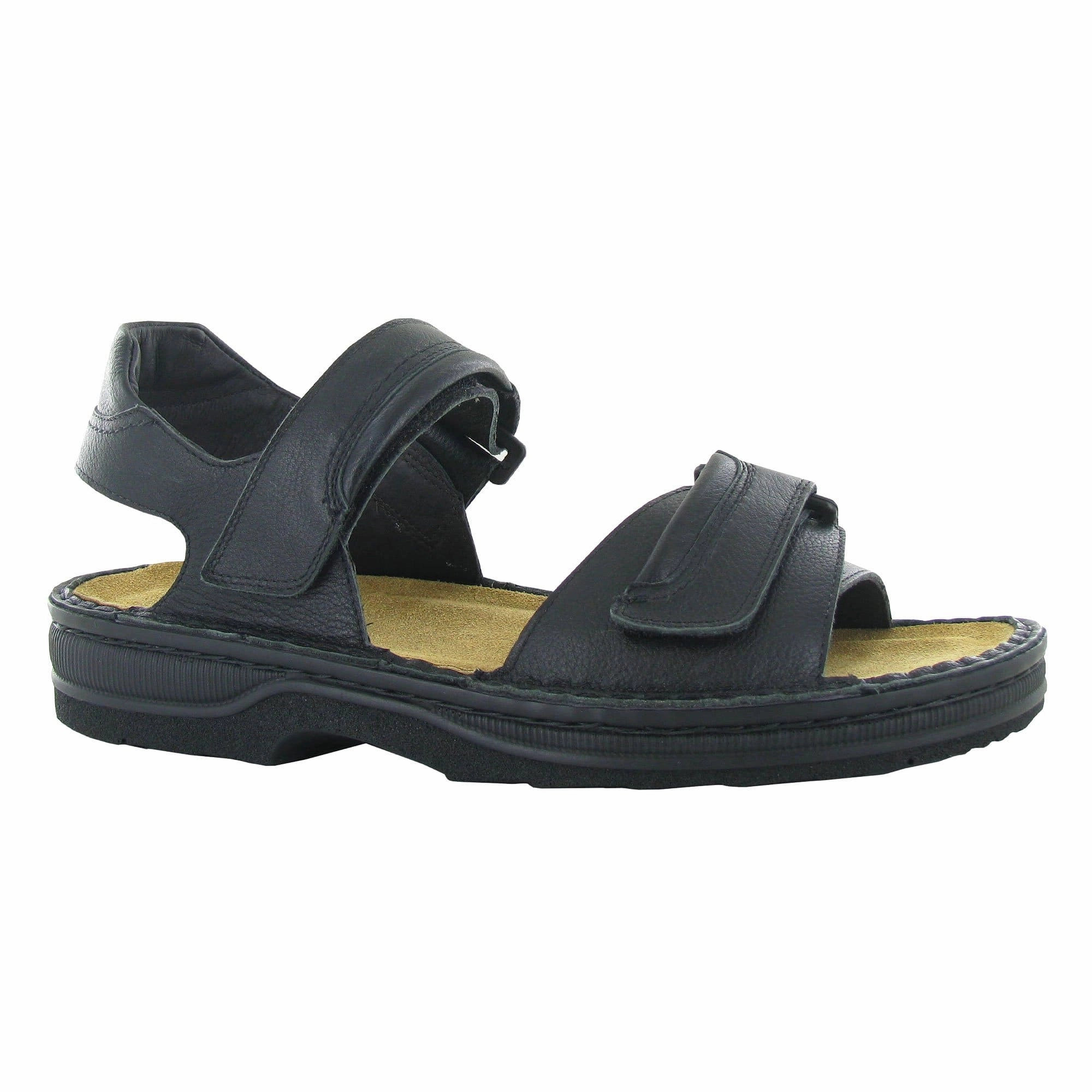 Lappland (69601)