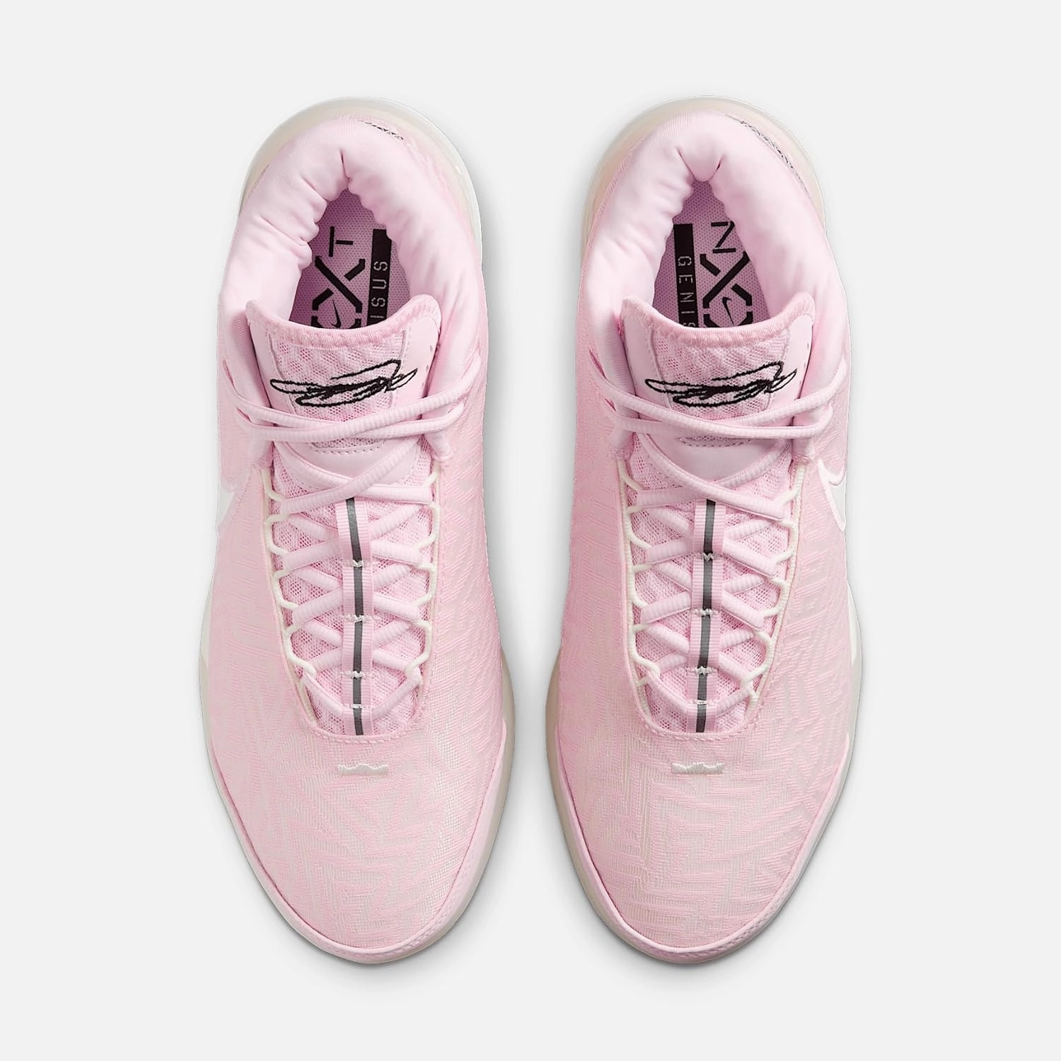 Lebron NXXT Genisus Basketball Shoes (HF0712-602, Pink Foam/Black/Pink Wash/Sail)