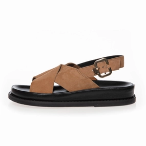 NEW STRONGER 23 - SUEDE - SAFARI