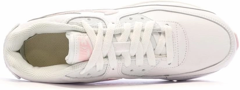Nike Air Max 90 LTR (Big Kid)