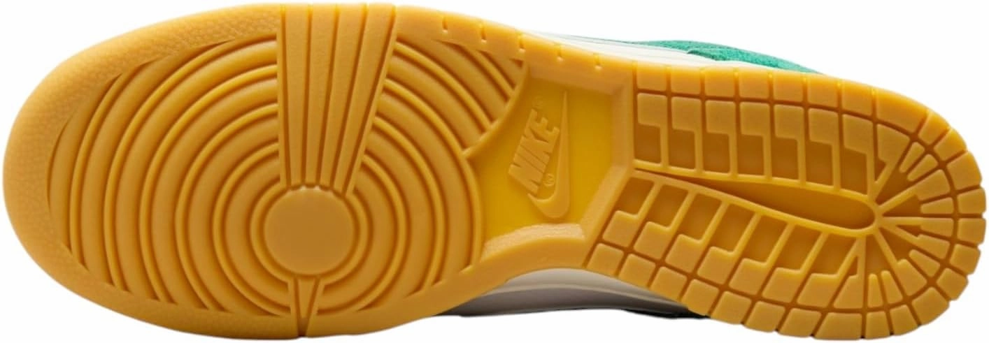 Nike Dunk Low Retro Men's Shoes