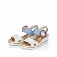 Rose - White/Blue