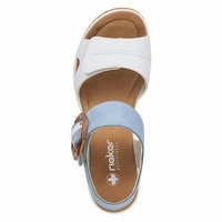 Rose - White/Blue