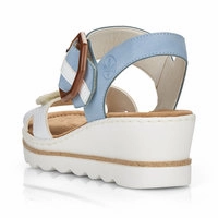 Rose - White/Blue