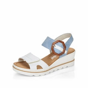 Rose - White/Blue