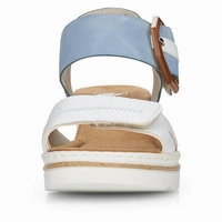Rose - White/Blue
