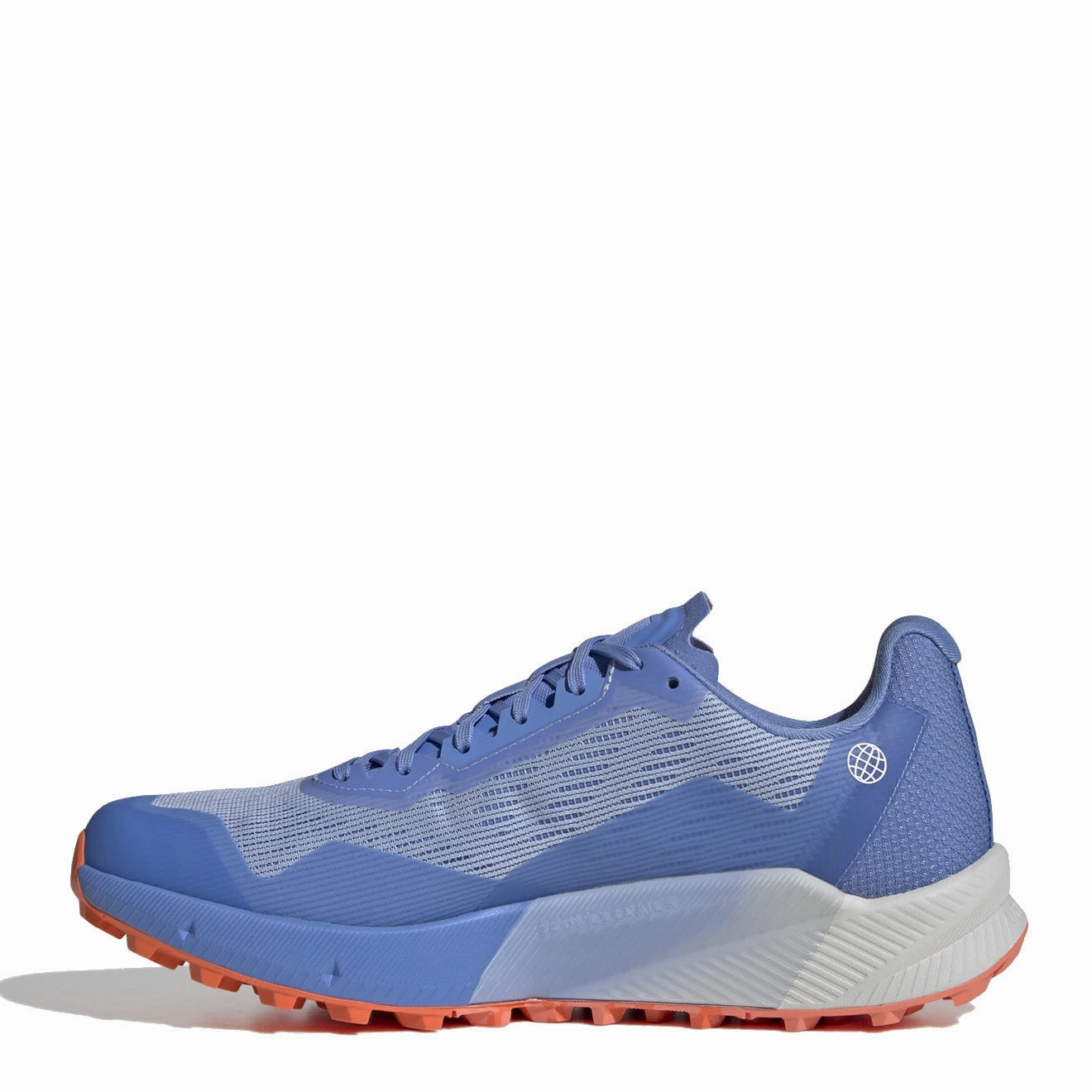 Shoes Adidas Terrex Men Adidas Terrex Agravic Flox 2 Gore-Tex Bludaw / Blufus / Impora