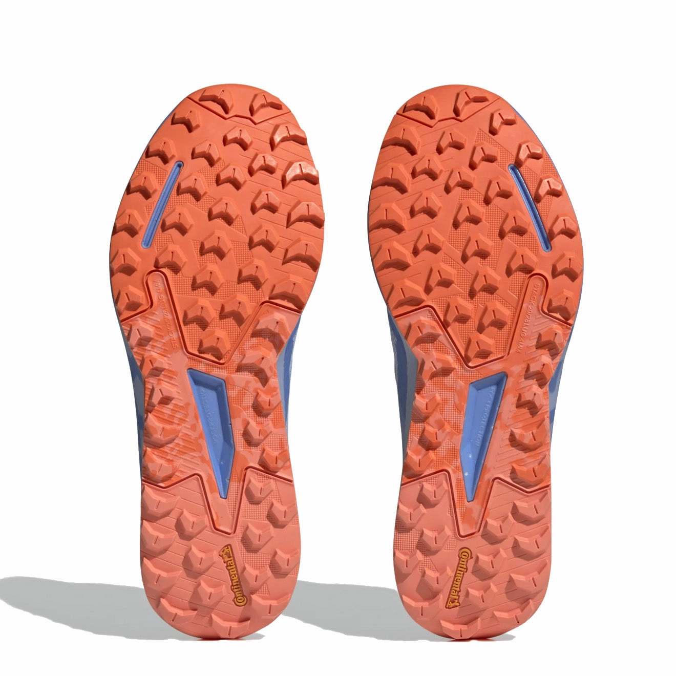 Shoes Adidas Terrex Men Adidas Terrex Agravic Flox 2 Gore-Tex Bludaw / Blufus / Impora