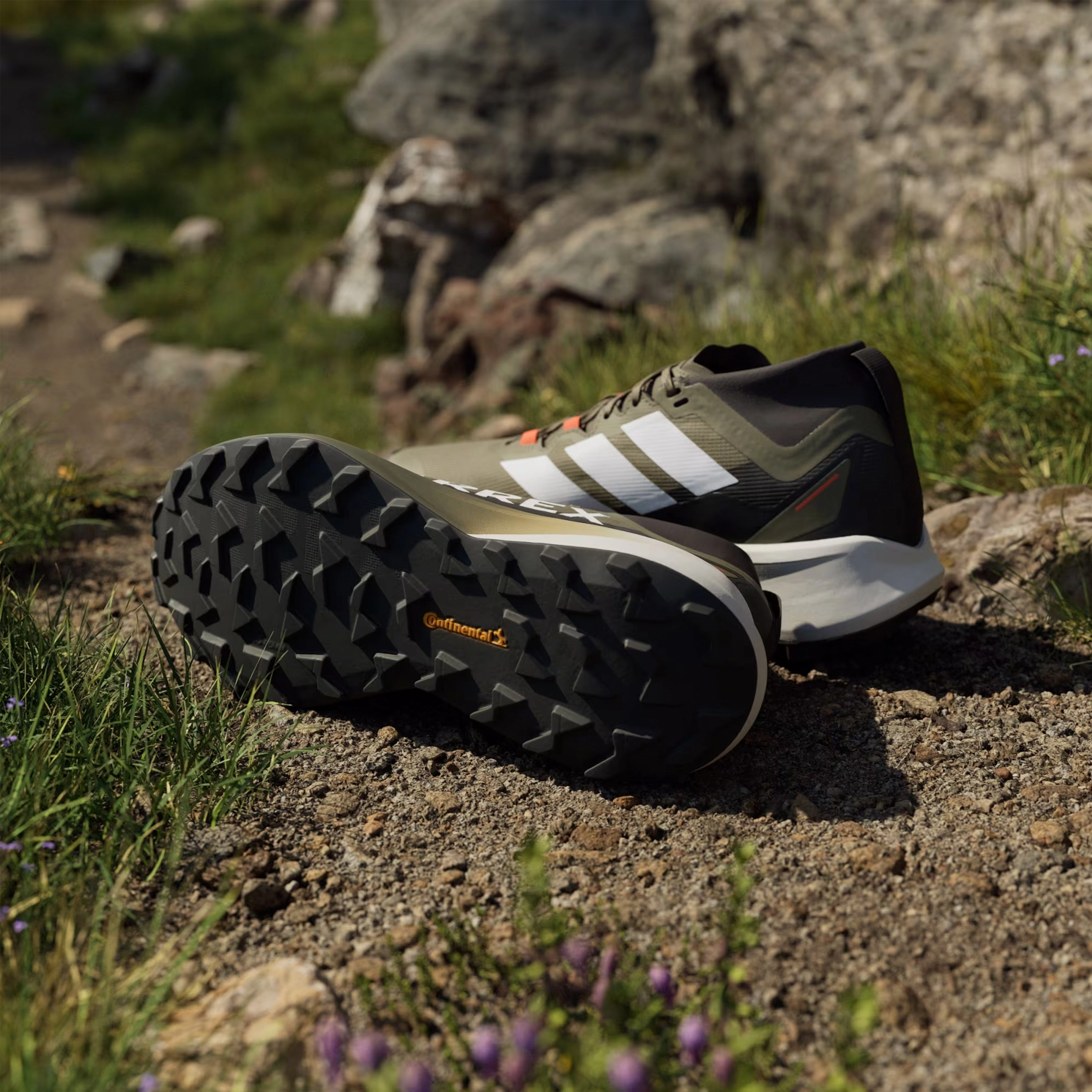 Shoes Adidas Terrex Men Adidas Terrex trail running shoes Agravic Black / Green