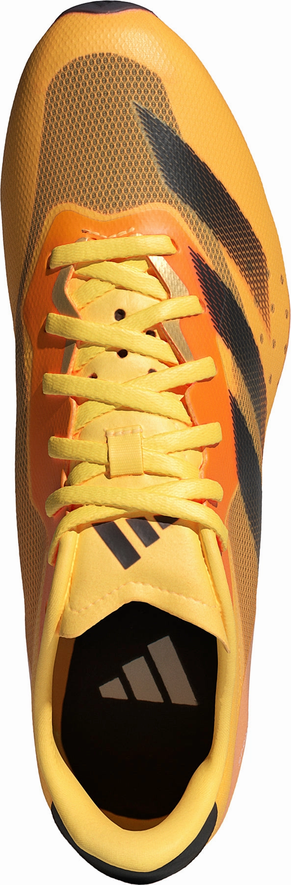 Shoes Adidas  Women adidas Sprintstar Running Spikes - Orange