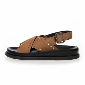 STRONGER STUDS - SAFARI