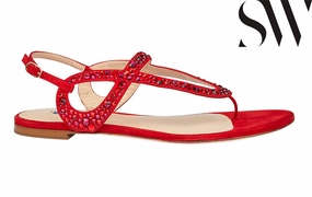 Sw Allura Red