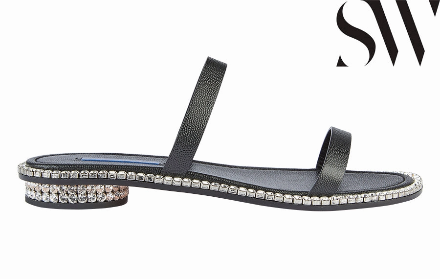 Sw Coquina Black
