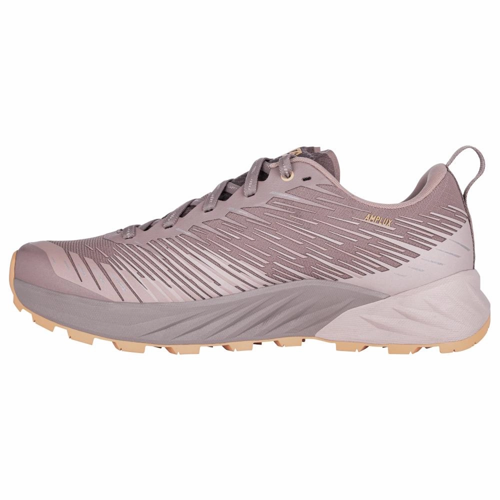 Women's Lowa Amplux Oldrose/Apricot